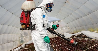 Personal protective equipment during fruit spraying