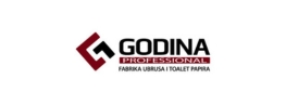 Godina