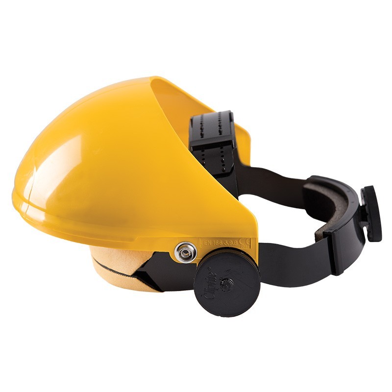 Browguard head visor holder