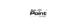 Safe Point